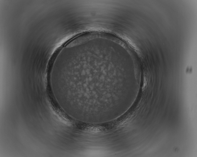 X0000091010488200708021551
