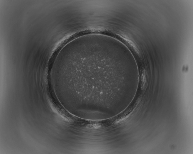 X0000091010492200708021551