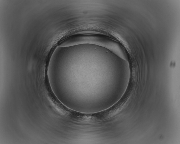 X0000091010493200708021551