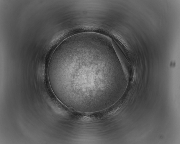 X0000091010494200708021551