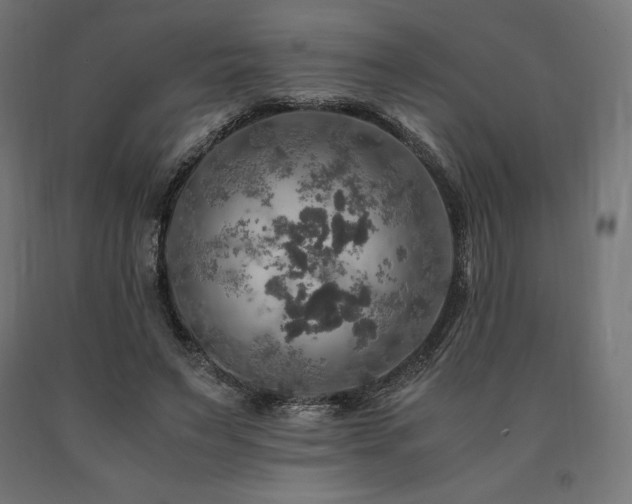 X0000091010495200708021551