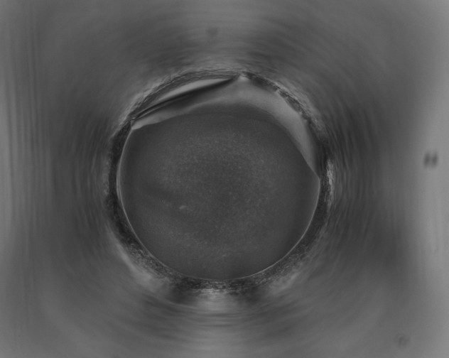 X0000091010496200708021551
