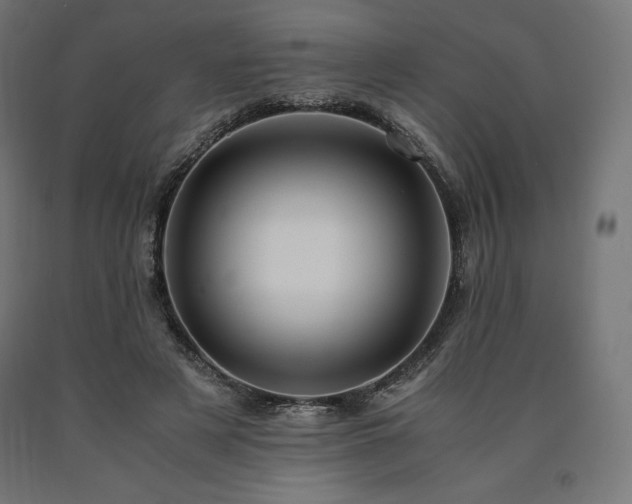 X0000091010497200708021551