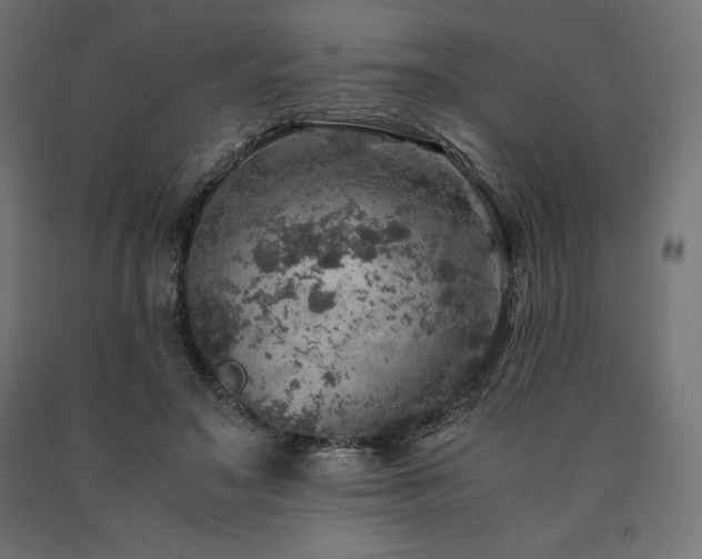 X0000091010499200708021551