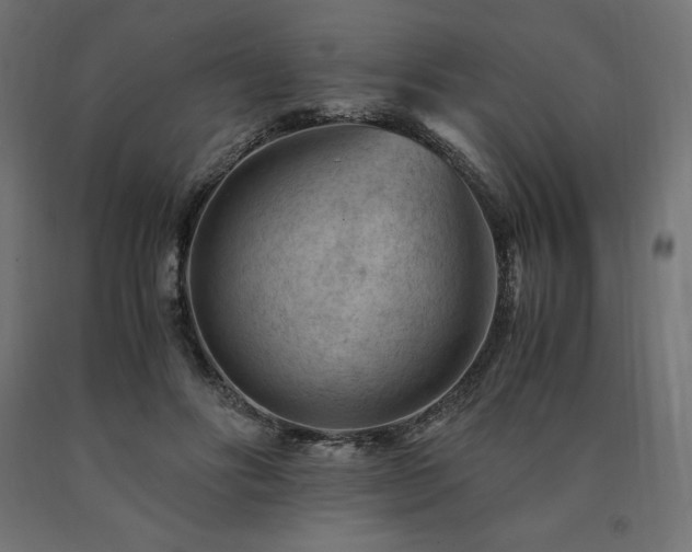 X0000091010502200708021551