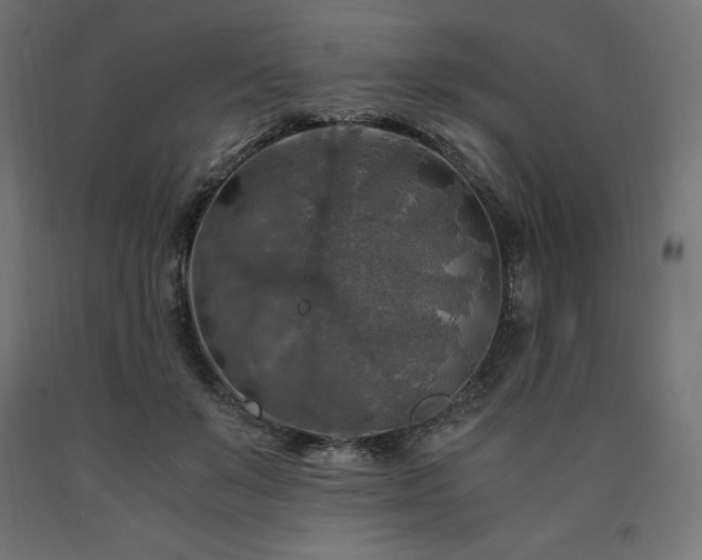 X0000091010503200708021551