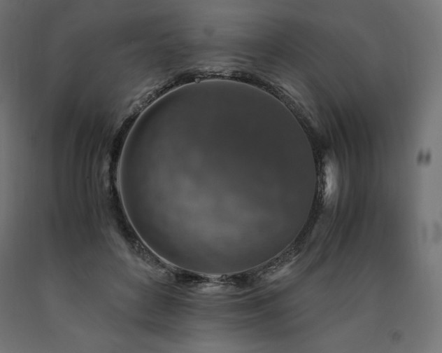 X0000091010504200708021551