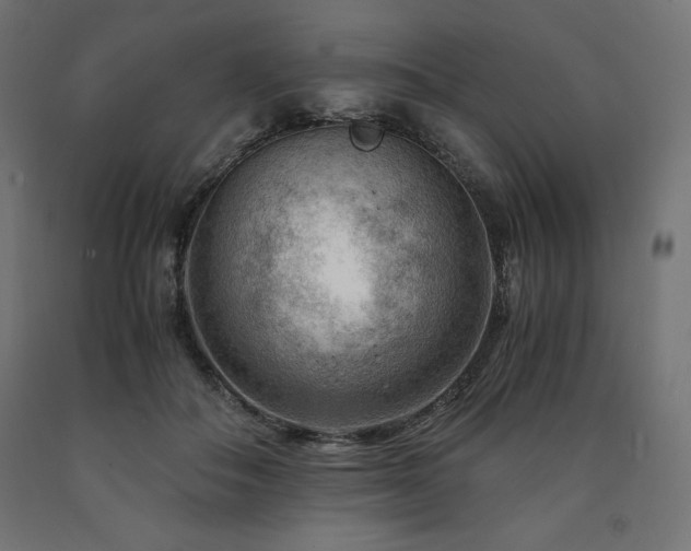 X0000091010506200708021551
