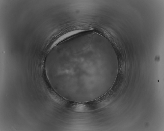 X0000091010507200708021551