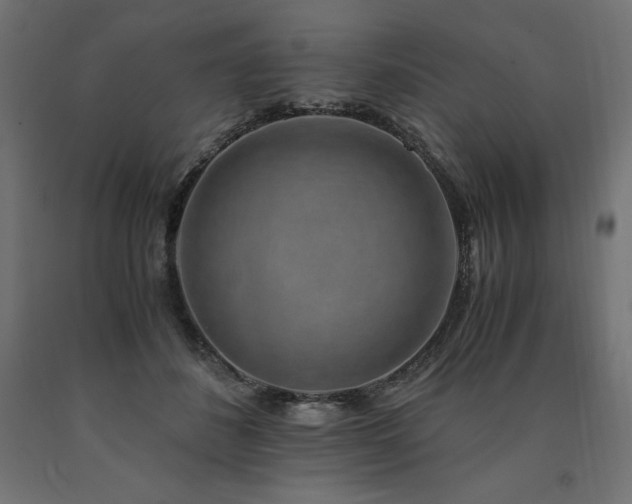 X0000091010508200708021551