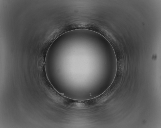 X0000091010509200708021551