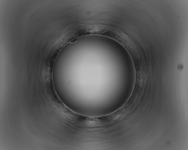 X0000091010510200708021551