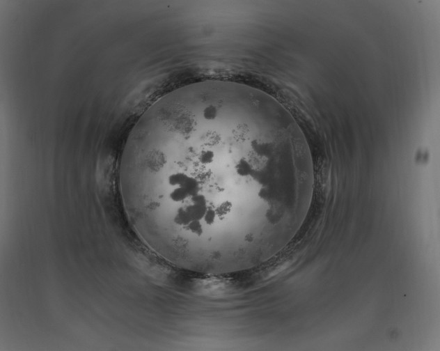 X0000091010511200708021551