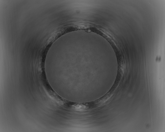 X0000091010512200708021551
