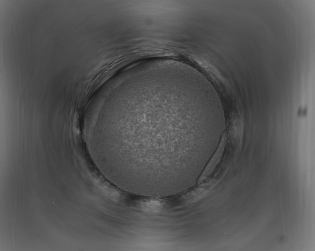 X0000091010513200708021551