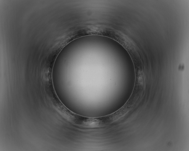 X0000091010514200708021551