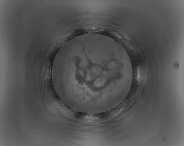 X0000091010515200708021551
