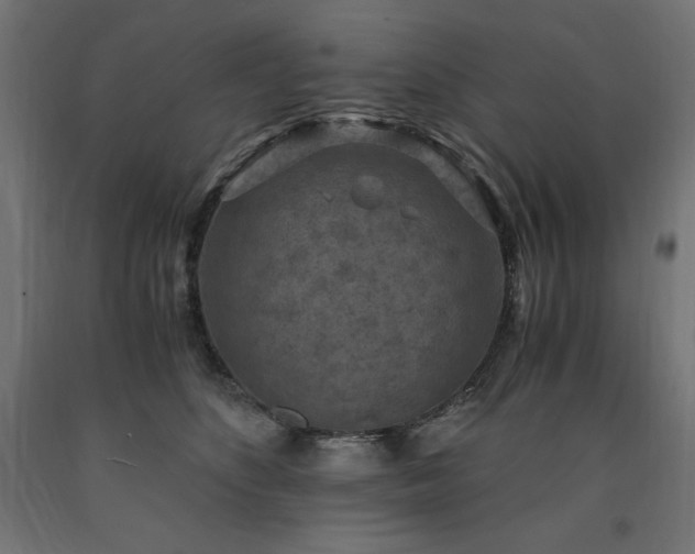 X0000091010516200708021551