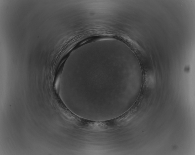 X0000091010517200708021551