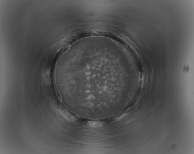 X0000091010520200708021551