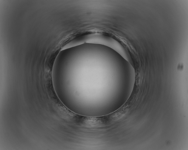 X0000091010521200708021551
