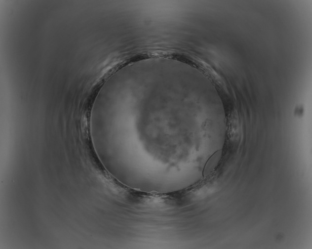 X0000091010523200708021551