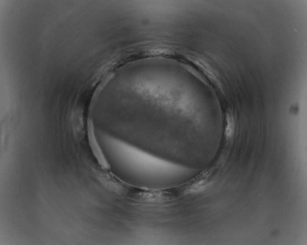 X0000091010524200708021551