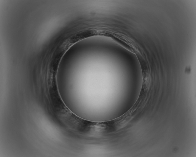 X0000091010525200708021551