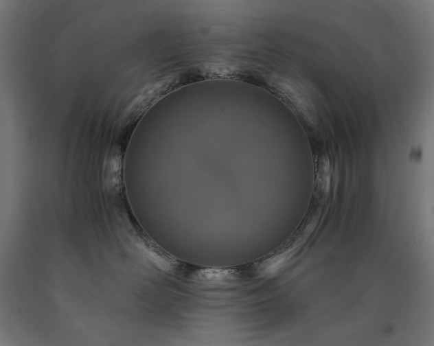 X0000091010526200708021551