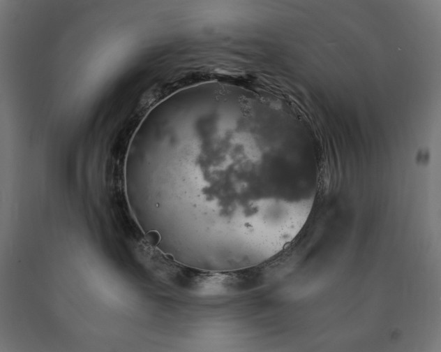 X0000091010527200708021551