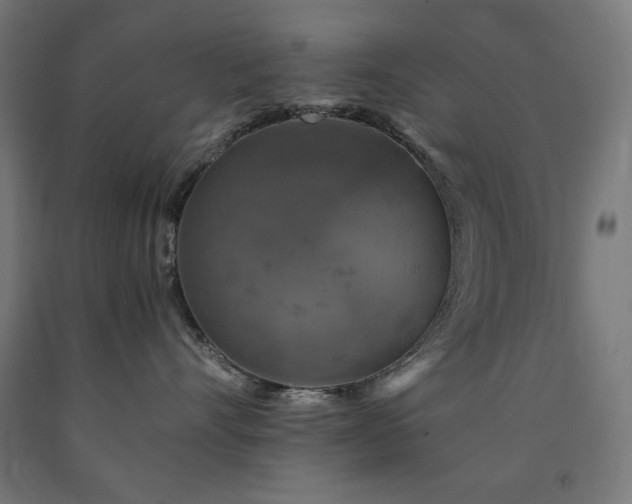 X0000091010528200708021551