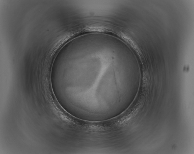 X0000091010529200708021550