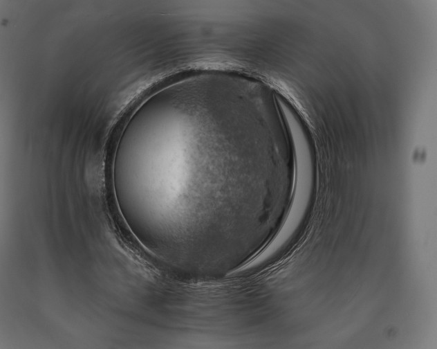 X0000091010531200708021550
