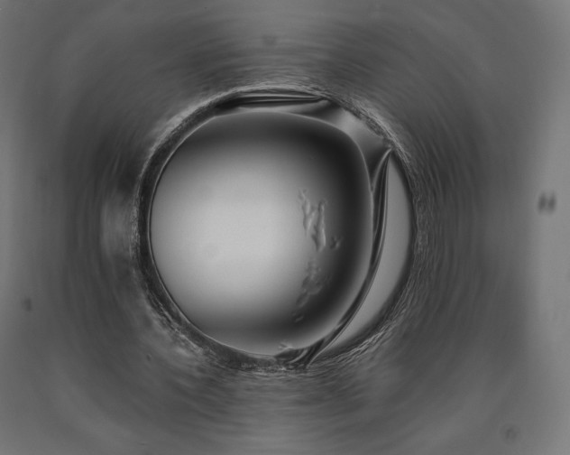 X0000091010532200708021550