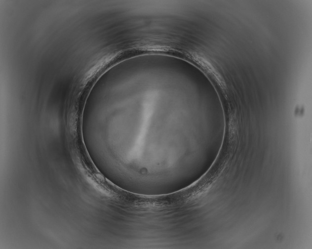 X0000091010533200708021550