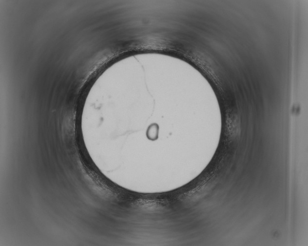X0000091010534200708021550