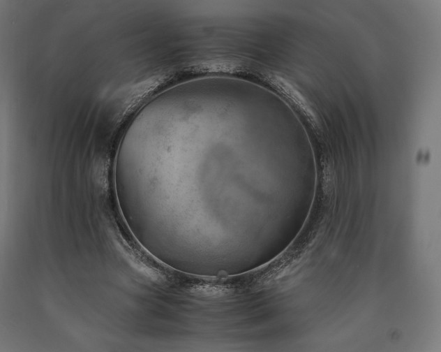 X0000091010537200708021550