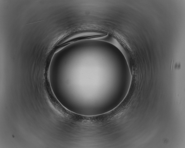 X0000091010538200708021550