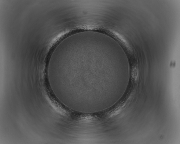 X0000091010540200708021550