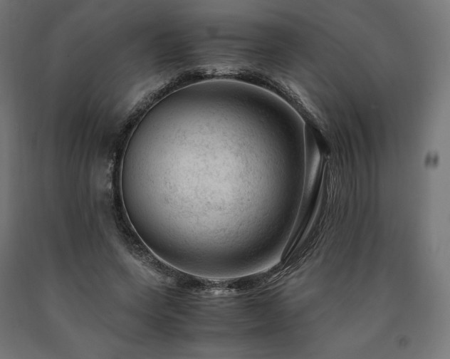 X0000091010543200708021550