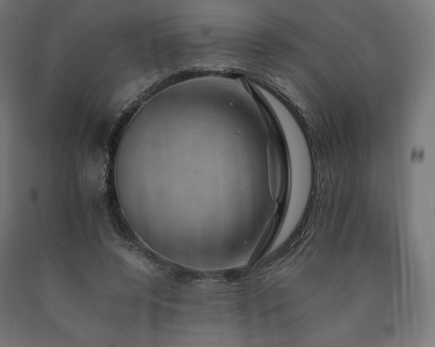 X0000091010544200708021550