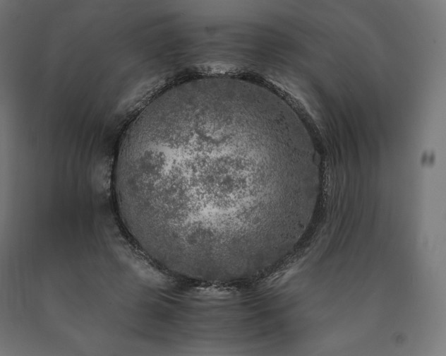 X0000091010545200708021550