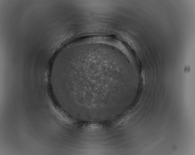 X0000091010546200708021550