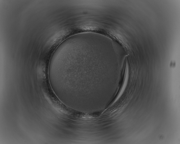 X0000091010547200708021550