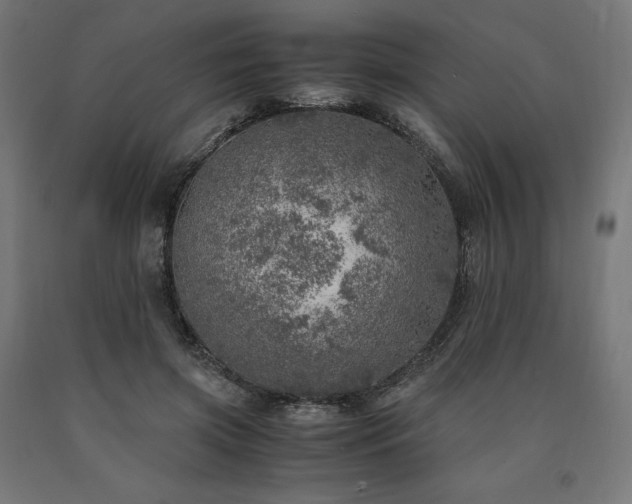 X0000091010549200708021550