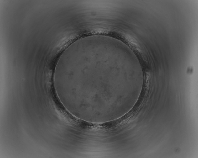 X0000091010550200708021550