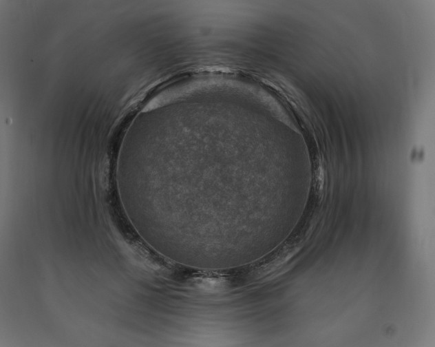 X0000091010552200708021550