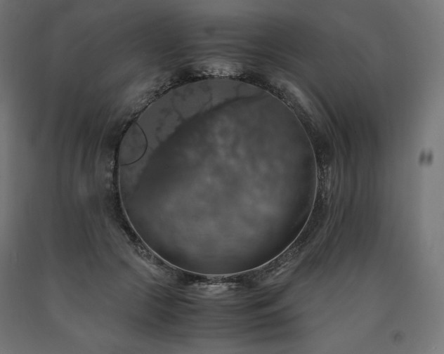 X0000091010553200708021550