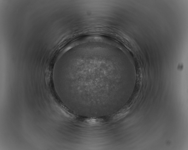 X0000091010558200708021550