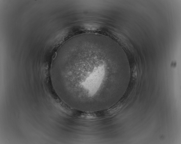 X0000091010559200708021550